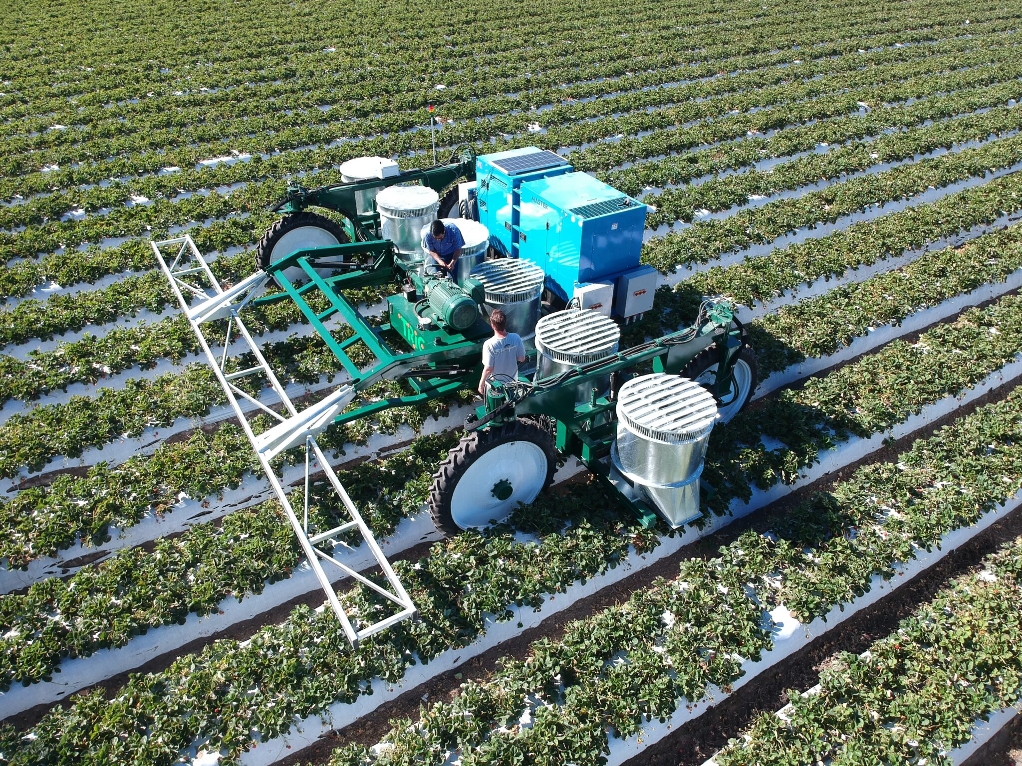 Technical Placements